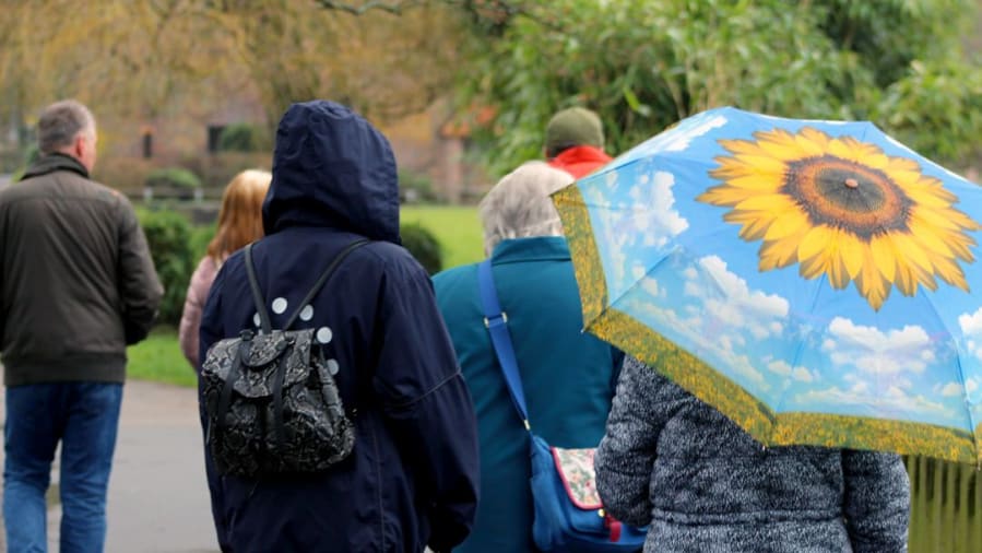 OASIS participants enjoying a walk in the fresh air. Group photographed from behind. One caries an umbrella with a sunflower print on it.